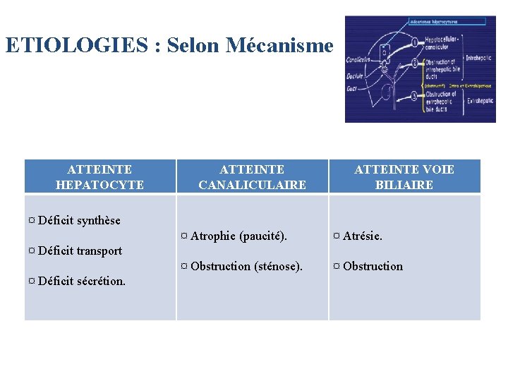 ETIOLOGIES : Selon Mécanisme ATTEINTE HEPATOCYTE ATTEINTE CANALICULAIRE ATTEINTE VOIE BILIAIRE ¤ Déficit synthèse