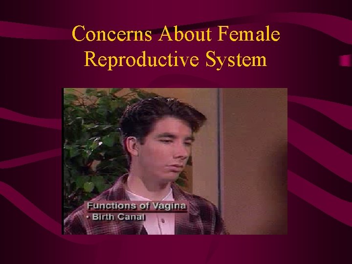 Concerns About Female Reproductive System Concerns About Female Reproductive System