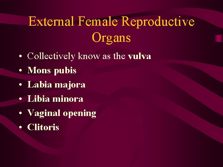 External Female Reproductive Organs • • • Collectively know as the vulva Mons pubis
