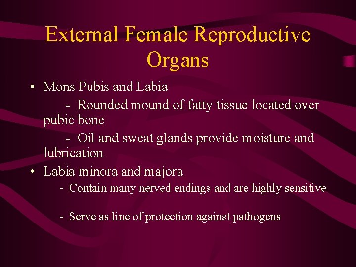 External Female Reproductive Organs • Mons Pubis and Labia - Rounded mound of fatty