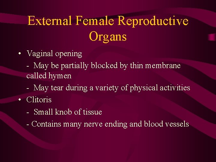 External Female Reproductive Organs • Vaginal opening - May be partially blocked by thin