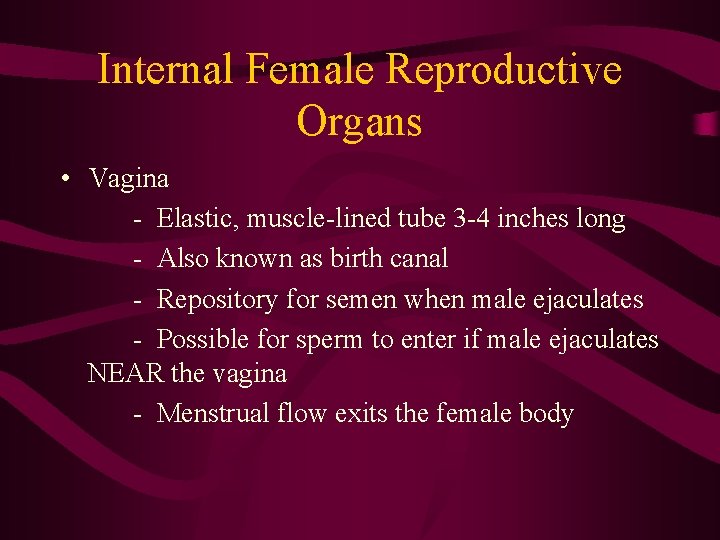 Internal Female Reproductive Organs • Vagina - Elastic, muscle-lined tube 3 -4 inches long