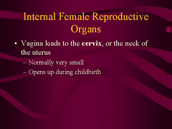 Internal Female Reproductive Organs • Vagina leads to the cervix, or the neck of