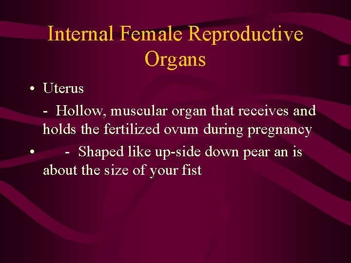 Internal Female Reproductive Organs • Uterus - Hollow, muscular organ that receives and holds