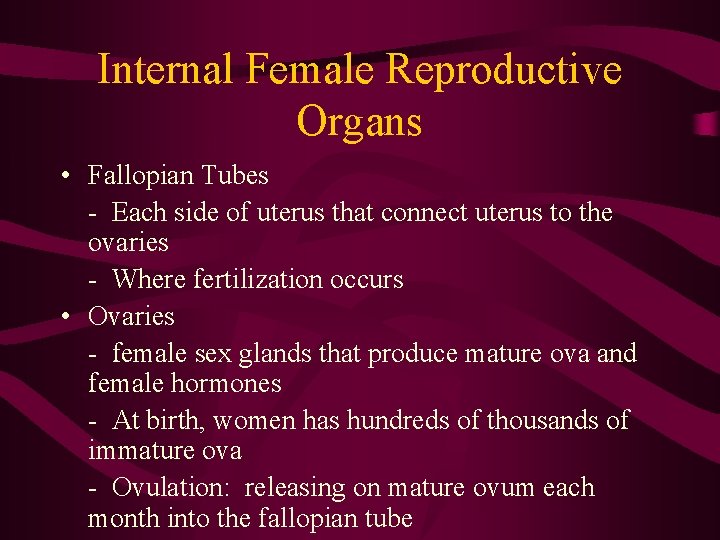 Internal Female Reproductive Organs • Fallopian Tubes - Each side of uterus that connect