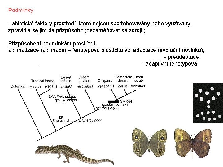 Podmínky - abiotické faktory prostředí, které nejsou spotřebovávány nebo využívány, zpravidla se jim dá