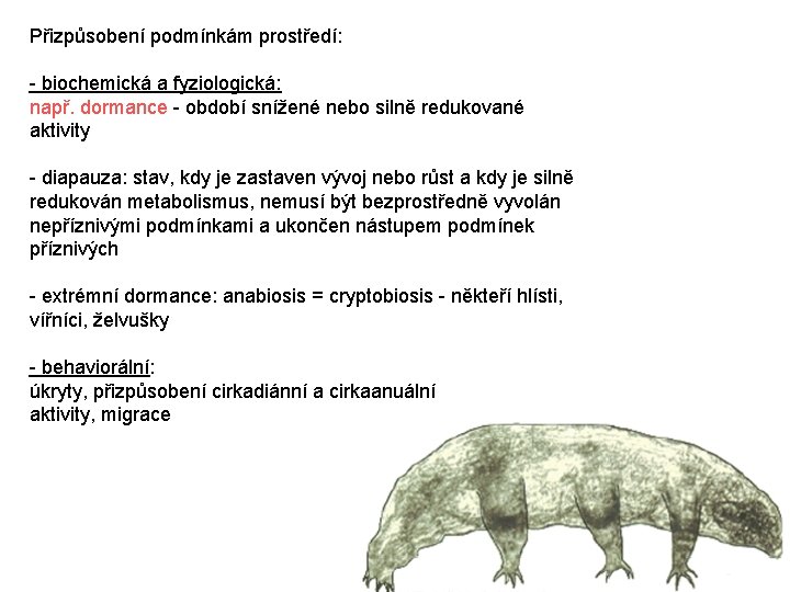 Přizpůsobení podmínkám prostředí: - biochemická a fyziologická: např. dormance - období snížené nebo silně