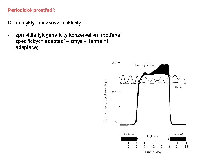 Periodické prostředí: Denní cykly: načasování aktivity - zpravidla fylogeneticky konzervativní (potřeba specifických adaptací –