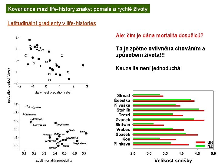 Kovariance mezi life-history znaky: pomalé a rychlé životy Latitudinální gradienty v life-histories Ale: čím