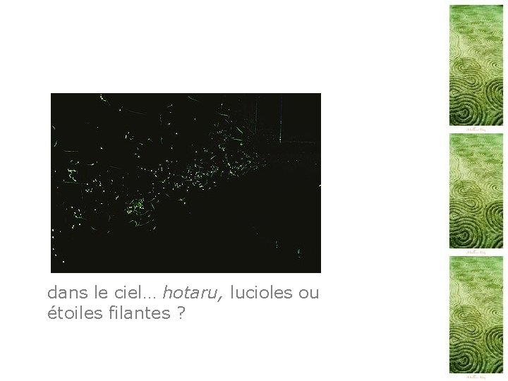 dans le ciel… hotaru, lucioles ou étoiles filantes ? 