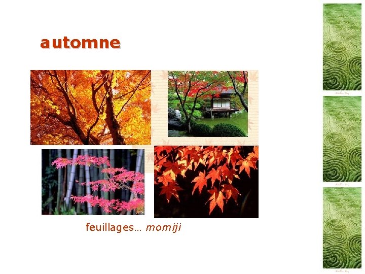 automne feuillages… momiji 