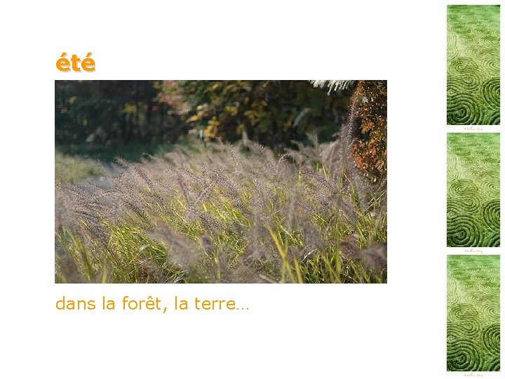 été dans la forêt, la terre… 