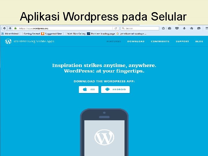 Aplikasi Wordpress pada Selular 
