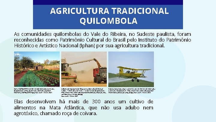 AGRICULTURA TRADICIONAL QUILOMBOLA As comunidades quilombolas do Vale do Ribeira, no Sudeste paulista, foram