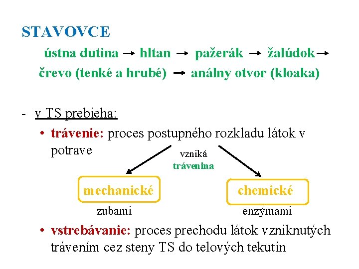 STAVOVCE ústna dutina hltan črevo (tenké a hrubé) pažerák žalúdok análny otvor (kloaka) -