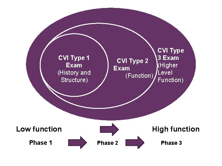 16 CVI Type 1 Exam (History and Structure) CVI Type 2 3 Exam (Higher