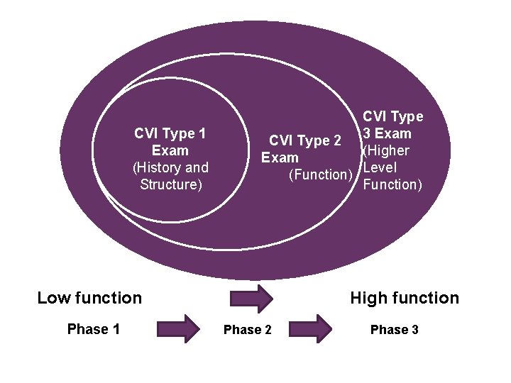 8 CVI Type 1 Exam (History and Structure) CVI Type 2 3 Exam (Higher