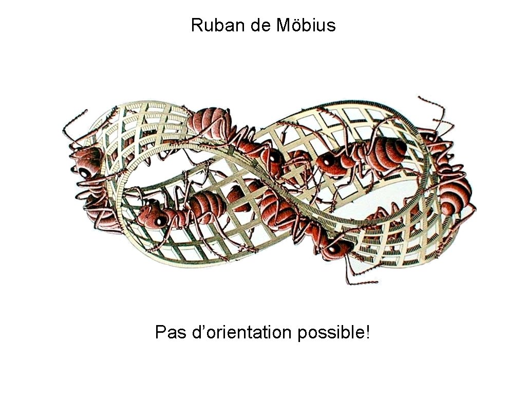 Ruban de Möbius Pas d’orientation possible! 