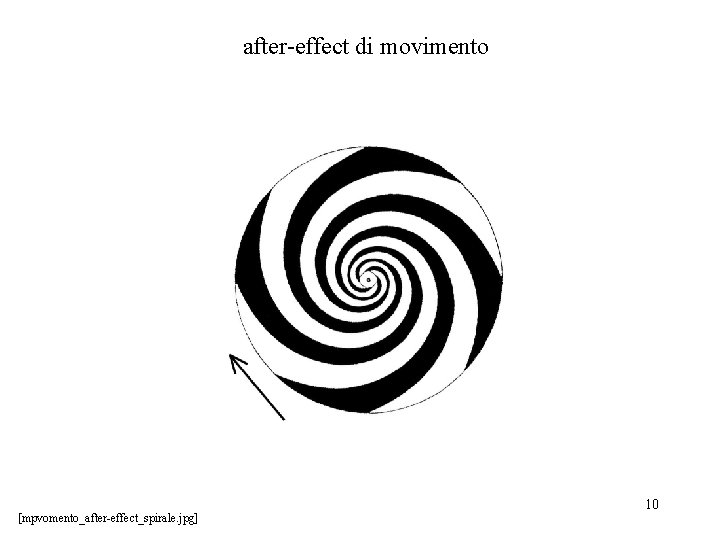 after-effect di movimento [mpvomento_after-effect_spirale. jpg] 10 