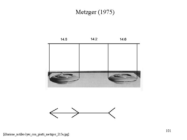 Metzger (1975) [illusione_müller-lyer_con_piatti_metzger_215 a. jpg] 101 
