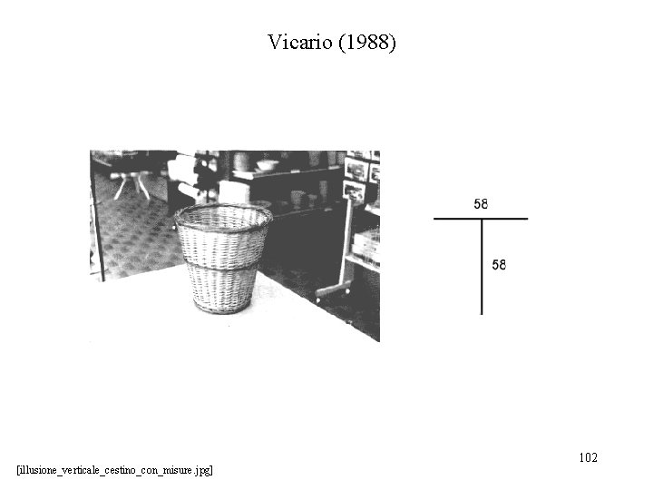 Vicario (1988) [illusione_verticale_cestino_con_misure. jpg] 102 
