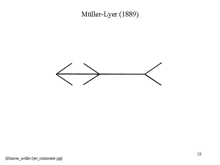 Müller-Lyer (1889) [illusione_müller-lyer_orizzontale. jpg] 19 