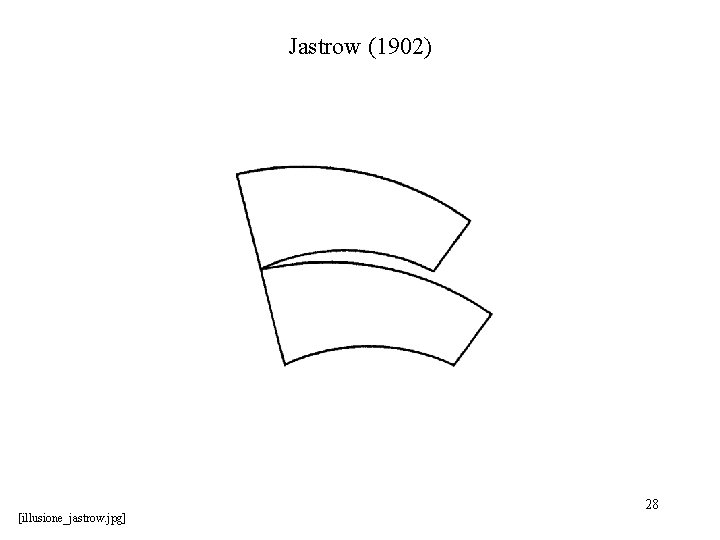 Jastrow (1902) [illusione_jastrow. jpg] 28 