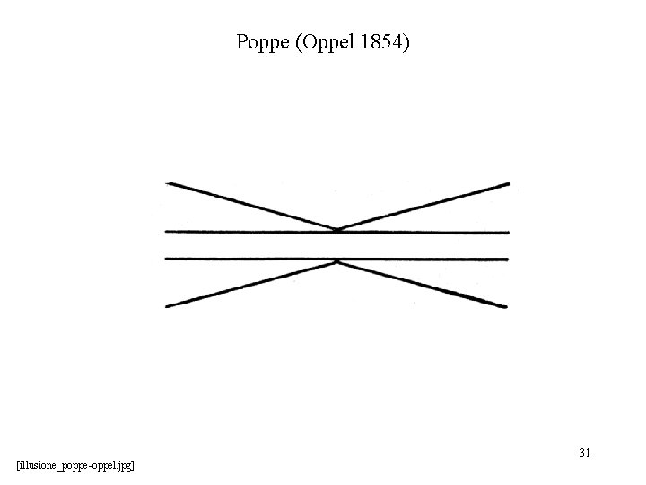Poppe (Oppel 1854) [illusione_poppe-oppel. jpg] 31 