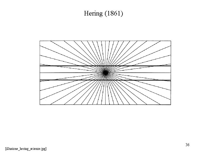 Hering (1861) [illusione_hering_scienze. jpg] 36 