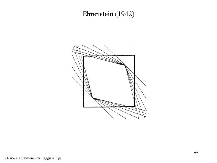 Ehrenstein (1942) 44 [illusione_ehrenstein_due_raggiere. jpg] 