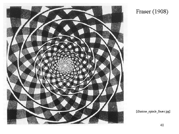 Fraser (1908) [illusione_spirale_fraser. jpg] 48 