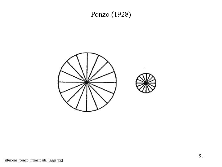 Ponzo (1928) [illusione_ponzo_numerosità_raggi. jpg] 51 