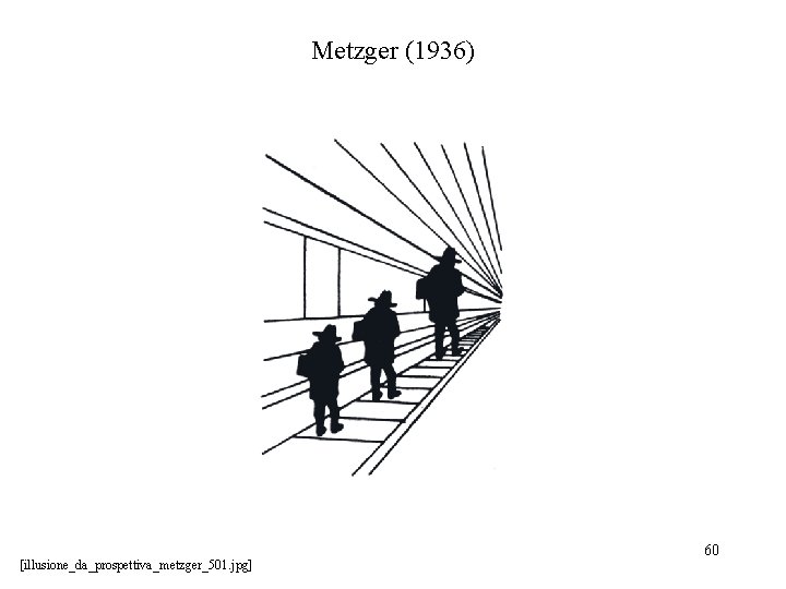 Metzger (1936) [illusione_da_prospettiva_metzger_501. jpg] 60 