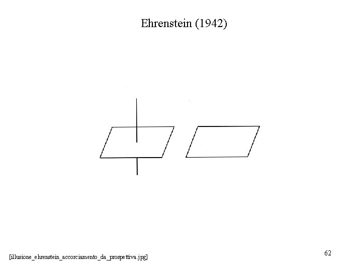 Ehrenstein (1942) [illusione_ehrenstein_accorciamento_da_prospettiva. jpg] 62 