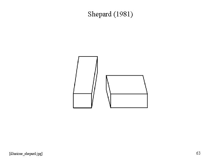 Shepard (1981) [illusione_shepard. jpg] 63 