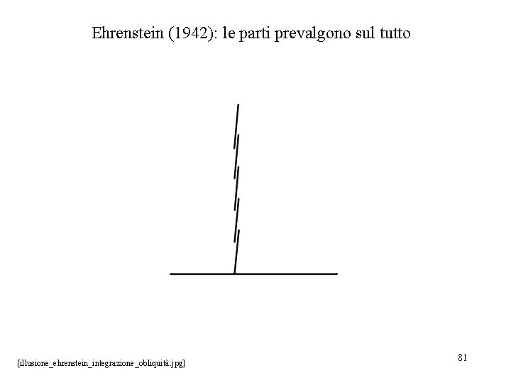 Ehrenstein (1942): le parti prevalgono sul tutto [illusione_ehrenstein_integrazione_obliquità. jpg] 81 