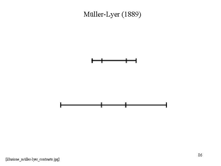 Müller-Lyer (1889) [illusione_müller-lyer_contrasto. jpg] 86 