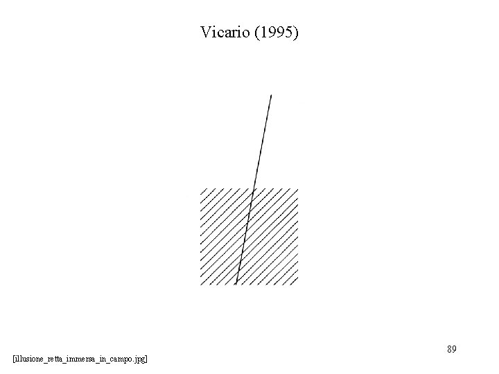 Vicario (1995) [illusione_retta_immersa_in_campo. jpg] 89 