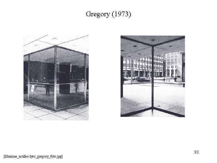 Gregory (1973) [illusione_müller-lyer_gregory_foto. jpg] 93 
