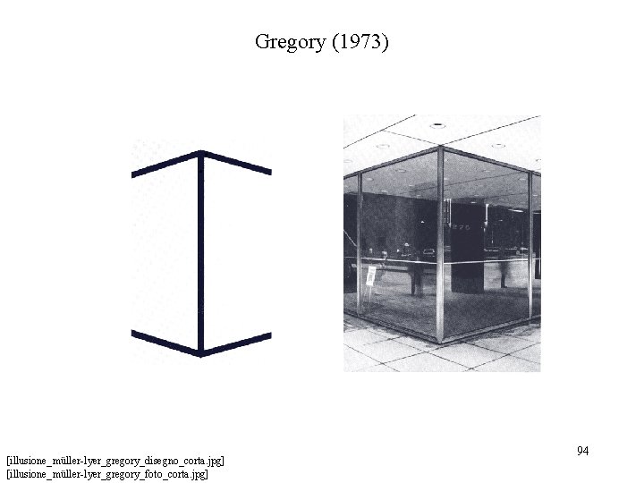 Gregory (1973) [illusione_müller-lyer_gregory_disegno_corta. jpg] [illusione_müller-lyer_gregory_foto_corta. jpg] 94 