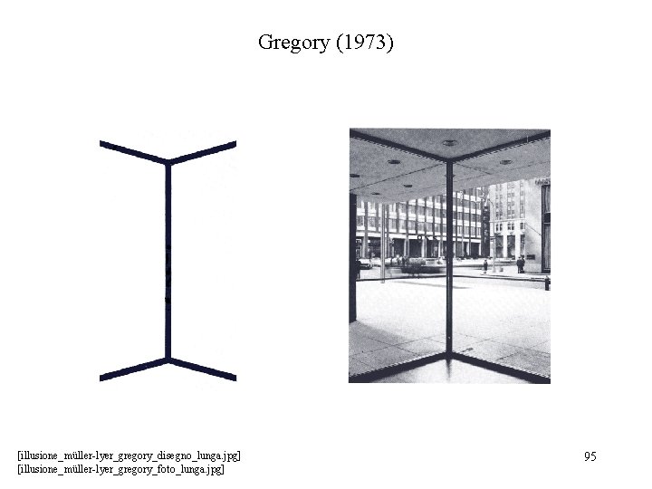 Gregory (1973) [illusione_müller-lyer_gregory_disegno_lunga. jpg] [illusione_müller-lyer_gregory_foto_lunga. jpg] 95 