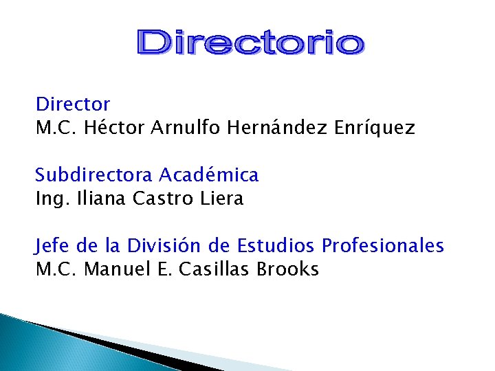 Director M. C. Héctor Arnulfo Hernández Enríquez Subdirectora Académica Ing. Iliana Castro Liera Jefe