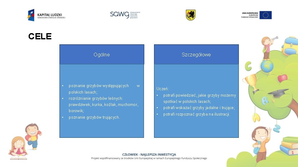 CELE Ogólne • poznanie grzybów występujących Szczegółowe w polskich lasach; • rozróżnianie grzybów leśnych: