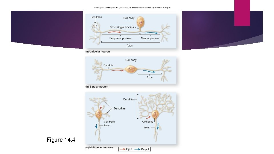 Figure 14. 4 