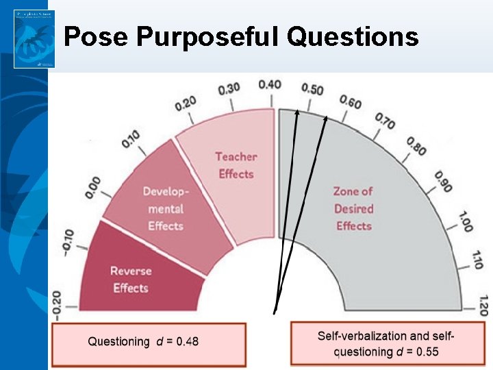 Pose Purposeful Questions 