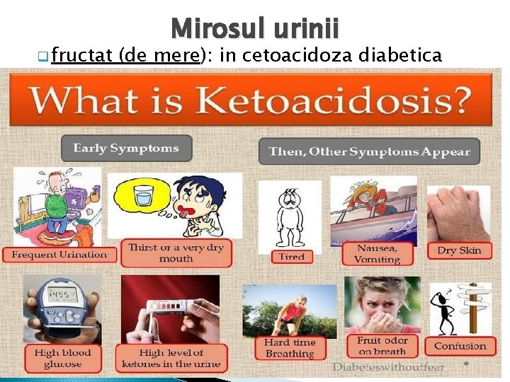 q fructat Mirosul urinii (de mere): in cetoacidoza diabetica 