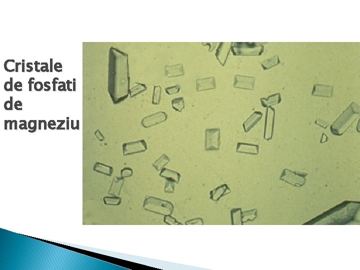 Cristale de fosfati de magneziu 