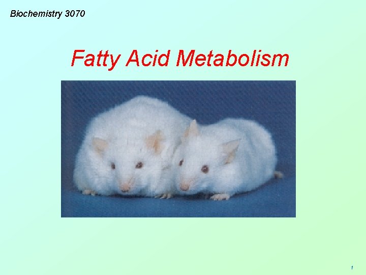 Biochemistry 3070 Fatty Acid Metabolism 1 