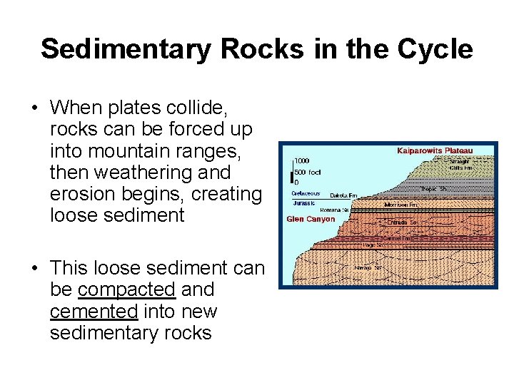 Sedimentary Rocks in the Cycle • When plates collide, rocks can be forced up