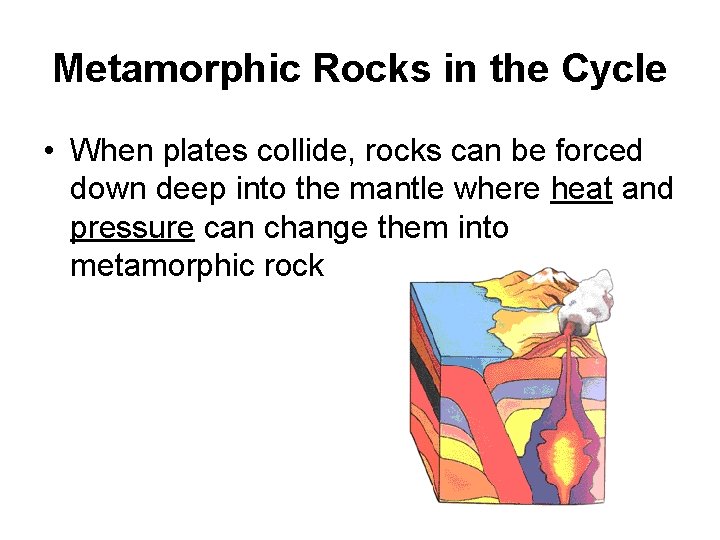 Metamorphic Rocks in the Cycle • When plates collide, rocks can be forced down